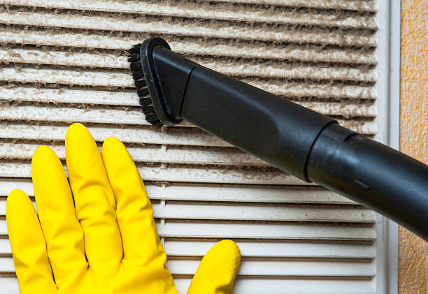 Best Affordable HVAC Duct Cleaning  in Charlevoix, MI