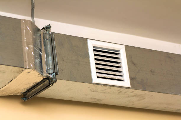 Best Air Vent Cleaning Services  in Charlevoix, MI
