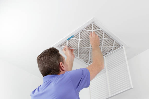Best Home Air Vent Cleaning  in Charlevoix, MI